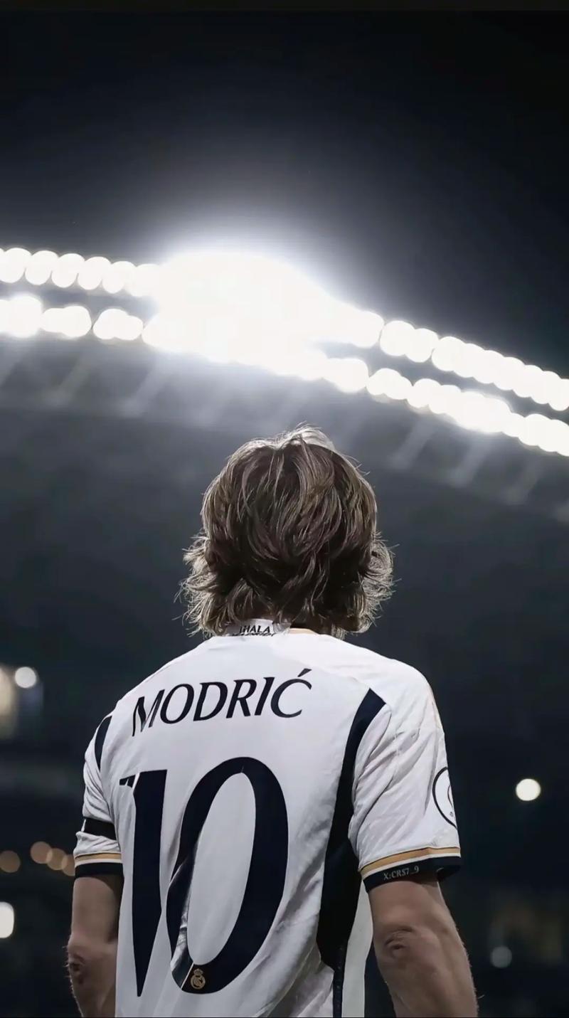 王者荣耀职业选手英雄池统计