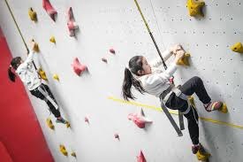 综合体育运动员排名系统 多维数据支撑